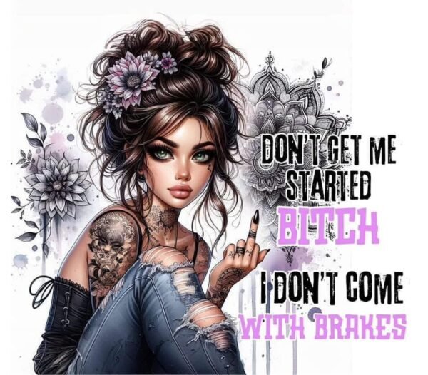 Don't Get Me Started bitch I Don't Come With Brakes