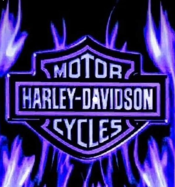 Motor Harley-Davidson Cycles