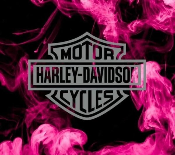 Motor Harley-Davidson Cycles