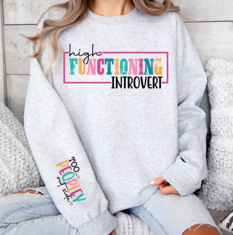 High Functioning Introvert